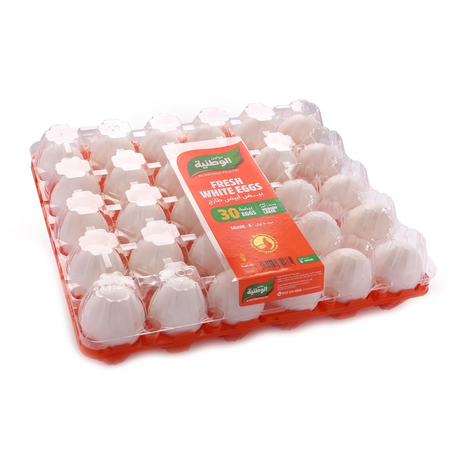 Al Watania White Table Eggs - Carton of 10 Trays